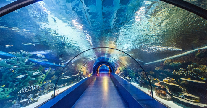 ANTALYA_CITY_AQUARIUM_9144400227